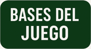 Bases del juego de la Liga Fantasy Mundial